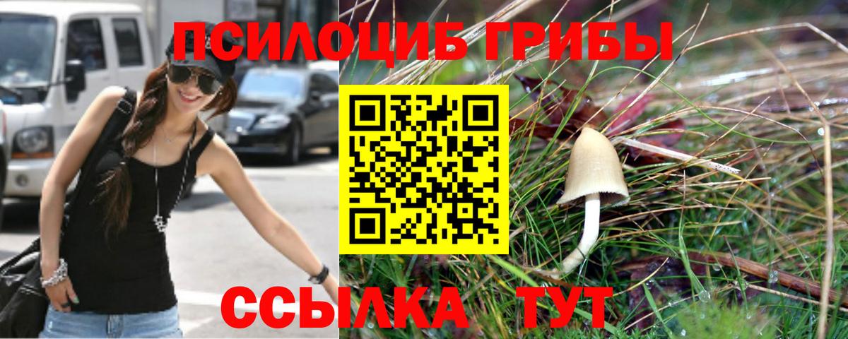 Изобильный  Псилоцибиновые грибы MAGIC MUSHROOMS  Вход с VPN 